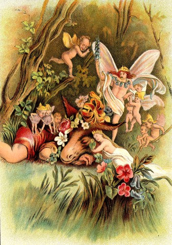 DC1004: MIdsummer Night's Dream (Tales from Shakespeare)