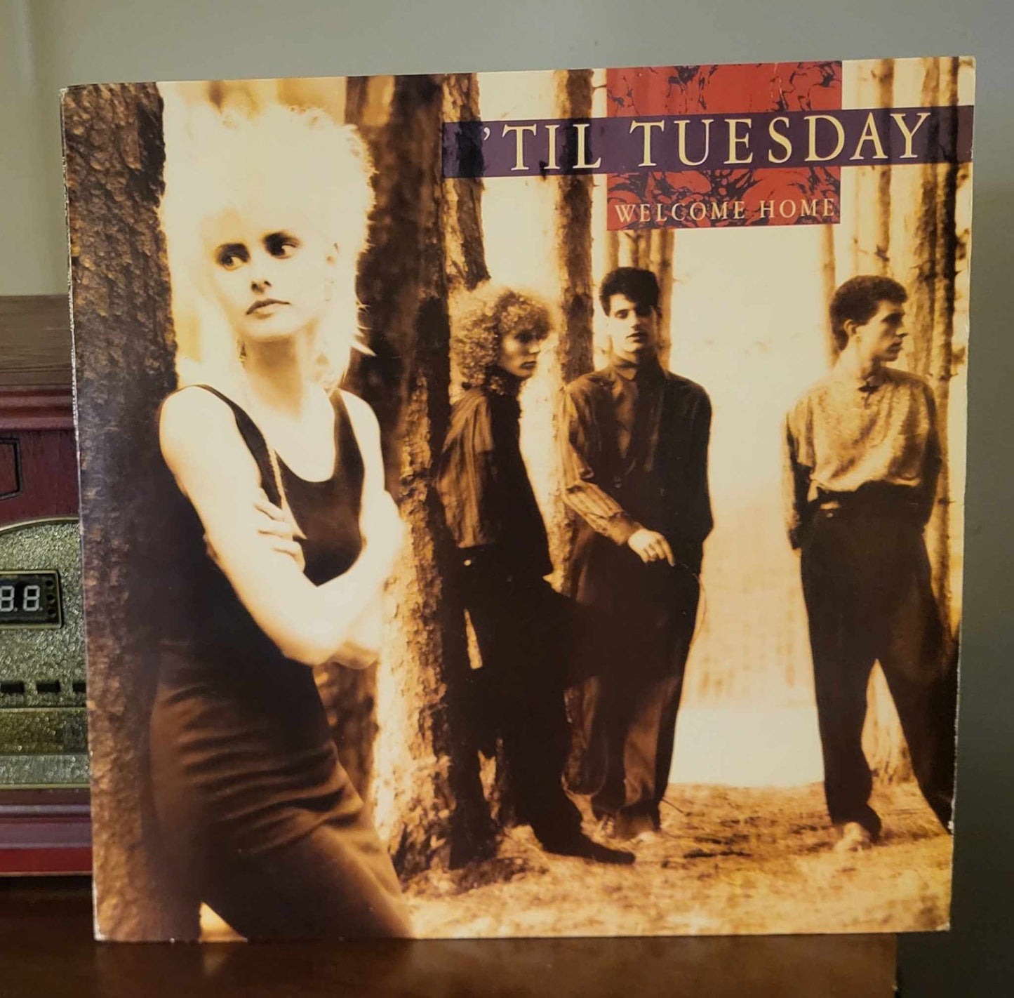 "Welcome Home" LP by 'til Tuesday (Epic Records, 1986)